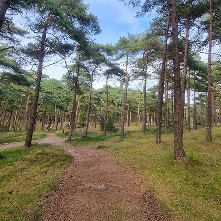 Southern Charm In Rim - By Traum بيت للعطل Sønderby