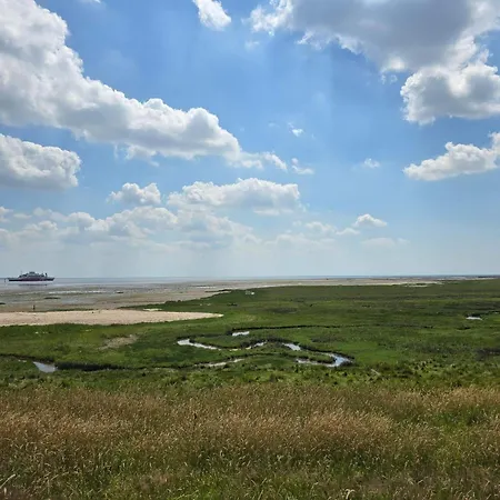 بيت للعطل Southern Charm In Rim - By Traum *